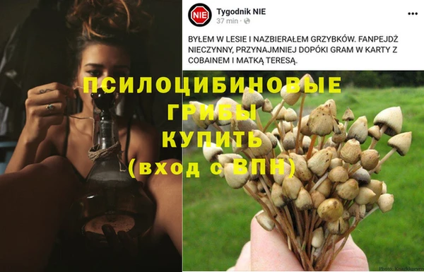 гашик Алзамай