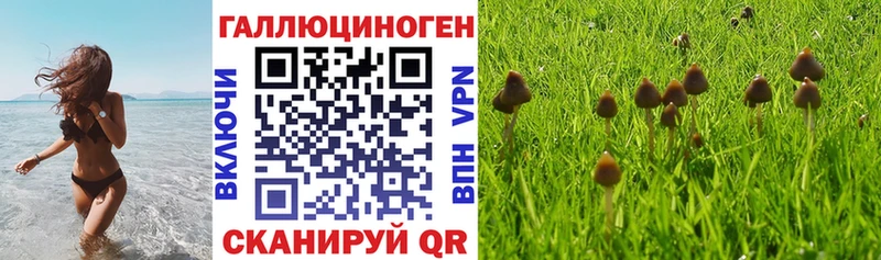 где продают   Уварово  Псилоцибиновые грибы мухоморы 