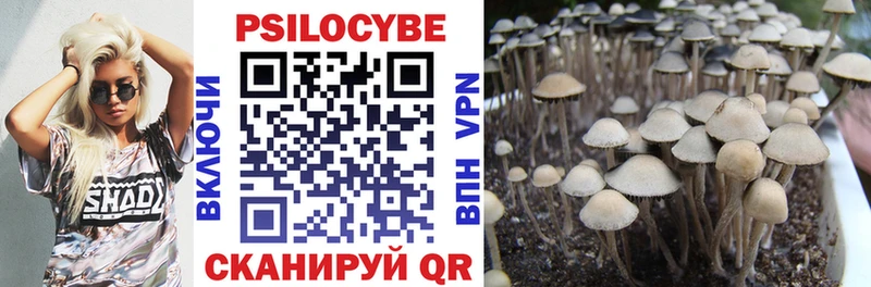 Псилоцибиновые грибы Psilocybe Уварово